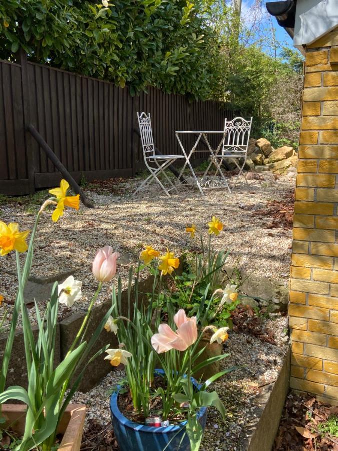Swallow Cottage Castle Cary Εξωτερικό φωτογραφία
